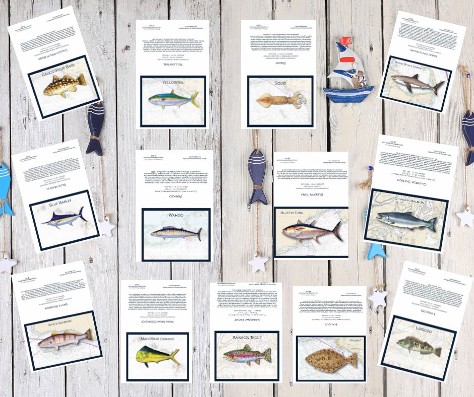 Assorted 10 Pack Fish Greeting Cards