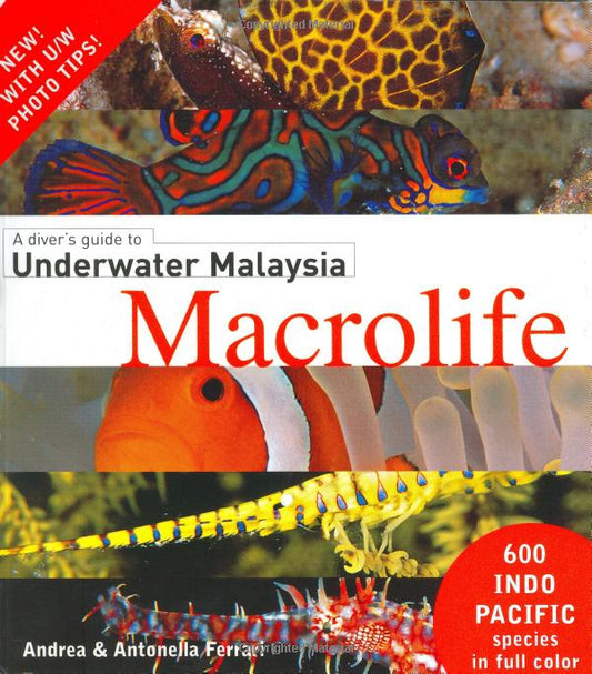 A diver's guide to Underwater Malaysia