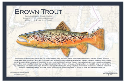 Fish Placemat: Brown Trout