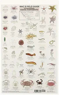 Mac's Field Guide To California Coastal Invertebrates