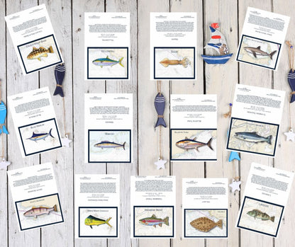 Hand-Illustrated Marine Life Note Card Collection (Pack of 10)