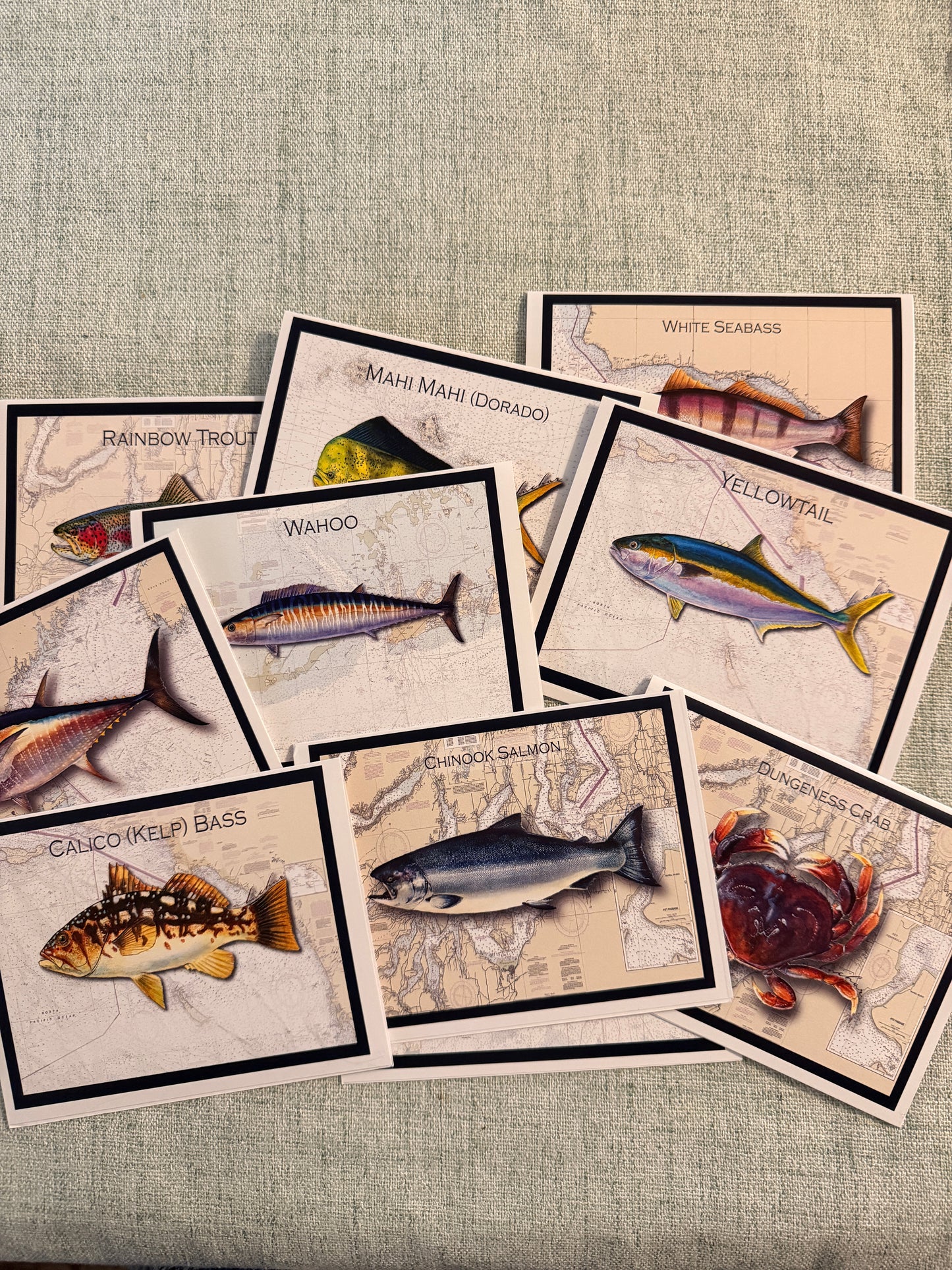 Hand-Illustrated Marine Life Note Card Collection (Pack of 10)