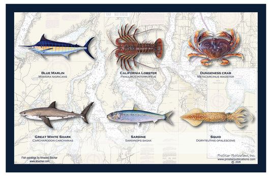 Fish Placemat for Kids