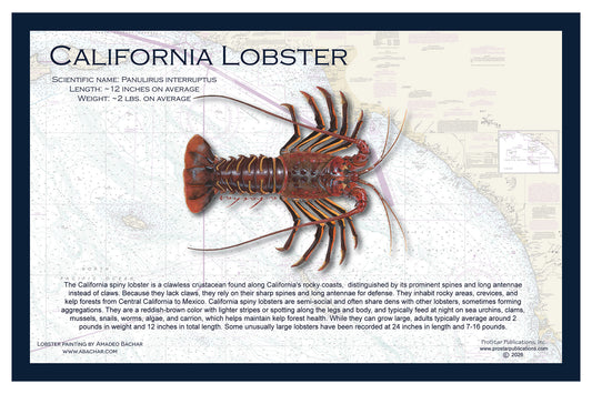 Fish Placemat: California Lobster
