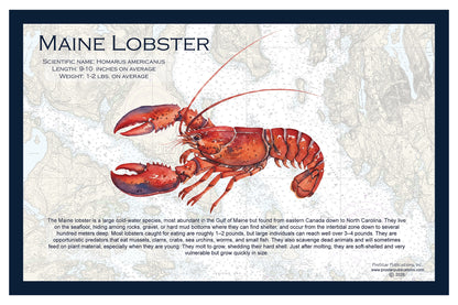 Fish Placemat: Maine Lobster