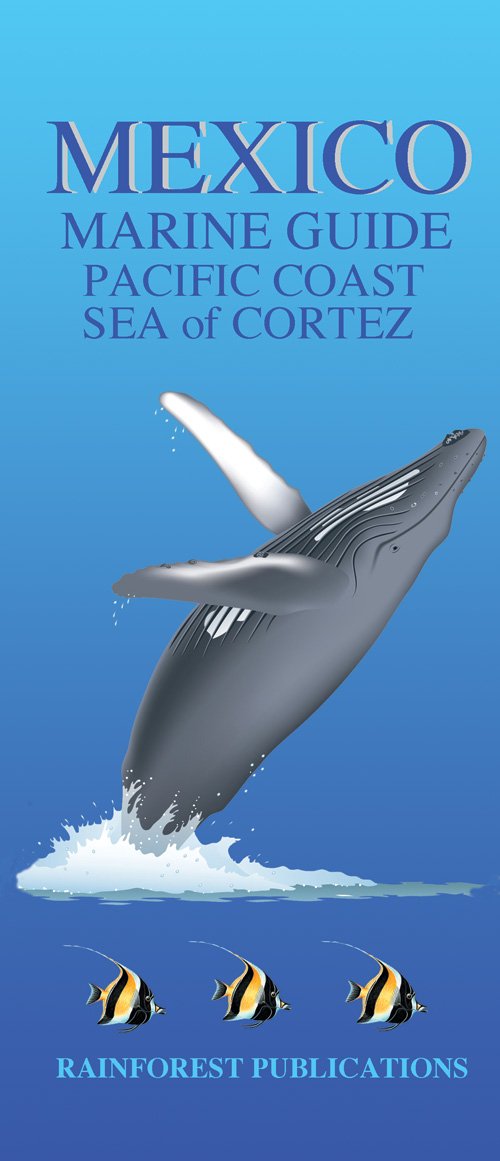 Mexico Pacific Coast Marine Guide (Laminated Foldout Pocket Field Guide)