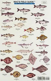 Mac's Field Guide To Northwest Coastal Fish