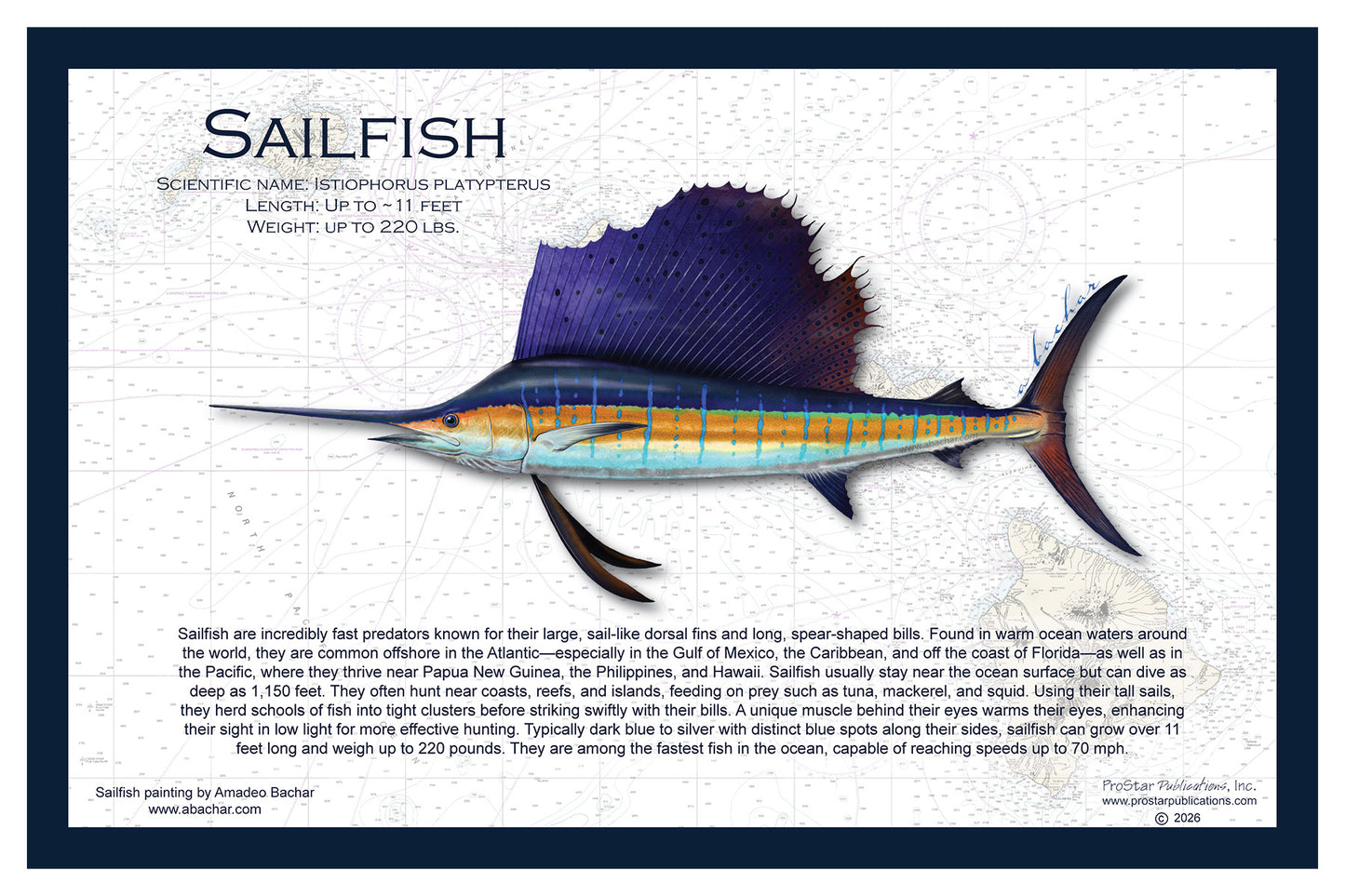 Fish Placemat: Sailfish