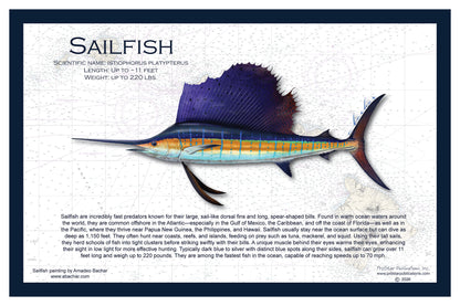 Fish Placemat: Sailfish