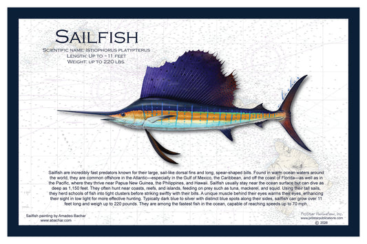 Fish Placemat: Sailfish