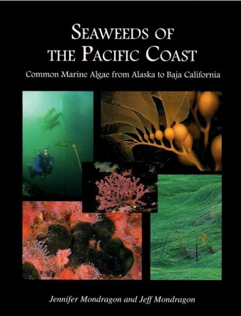 Seaweeds of the Pacific Coast by Jennifer and Jeff Mondragon