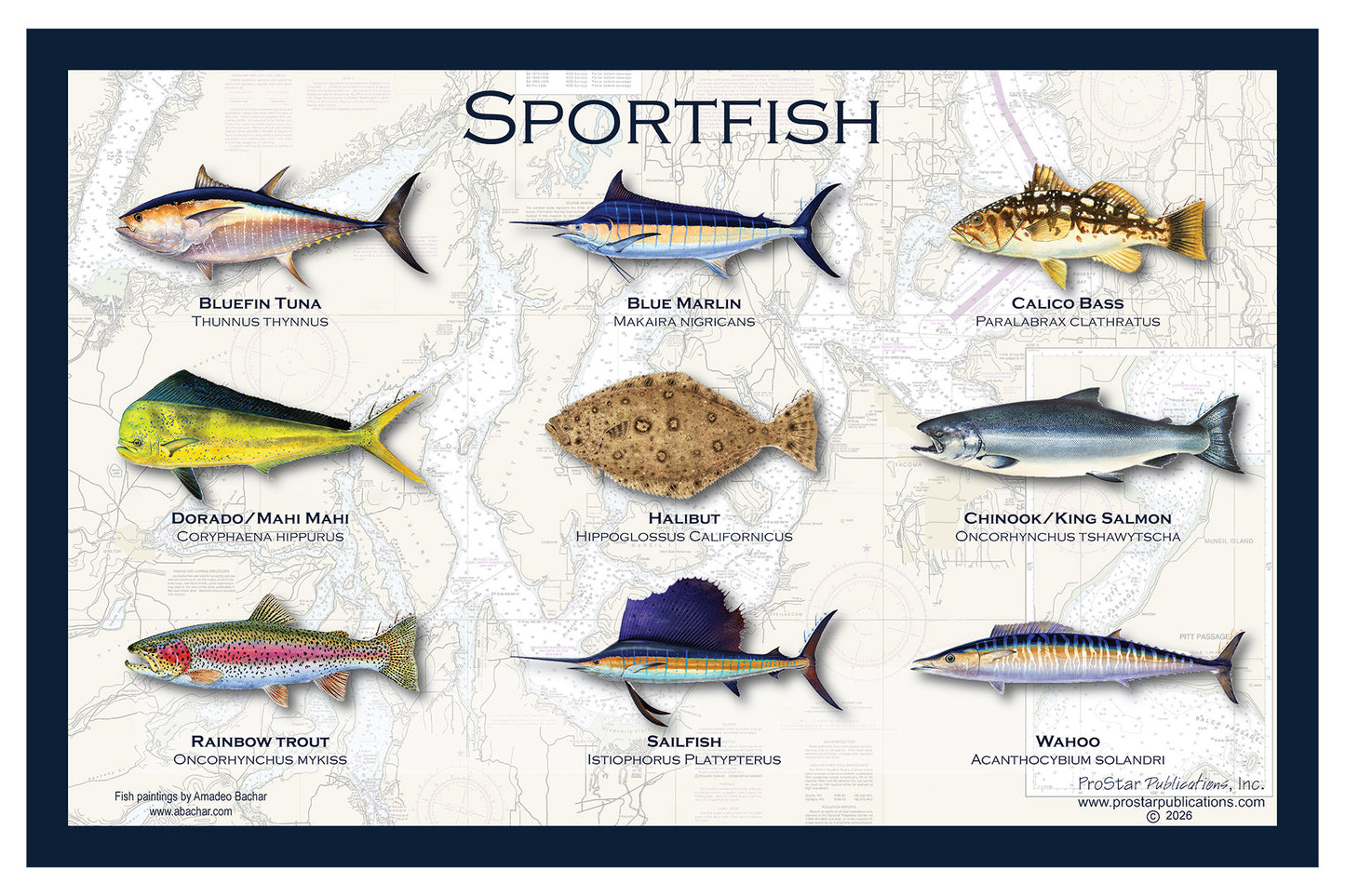 Fish Placemat: Sportfish