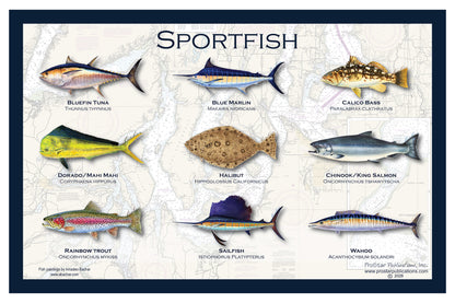 Fish Placemat: Sportfish