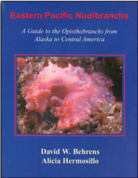 Eastern Pacific Nudibranchs