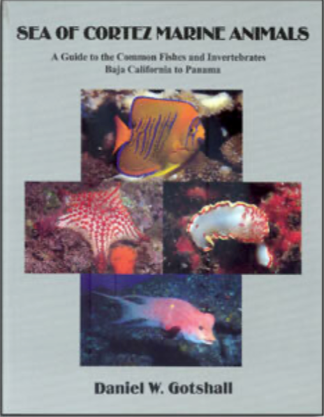Sea of Cortez Marine Animals by Dan W. Gotshall