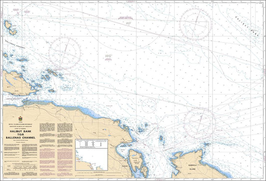 CHS Chart 3456: Halibut Bank to/à Ballenas Channel