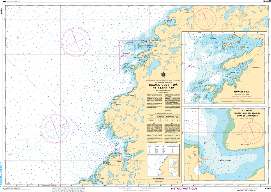 CHS Print-on-Demand Charts Canadian Waters-4667: Savage Cove to / € St. Barbe Bay, CHS POD Chart-CHS4667