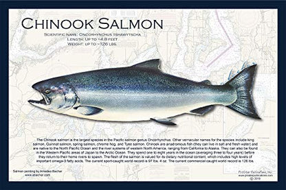 Fish Placemat: Salmon